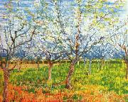 Orchard in Blossom, Vincent Van Gogh